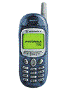 Best available price of Motorola T190 in Mexico