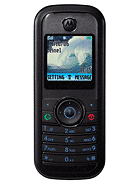 Best available price of Motorola W205 in Mexico