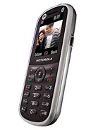 Best available price of Motorola WX288 in Mexico
