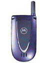 Best available price of Motorola V66i in Mexico